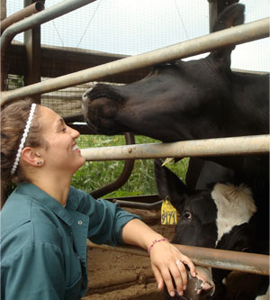 Bri with a cow.